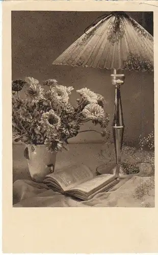 Blumen Buch Lampe Stilleben gl1940 28.553