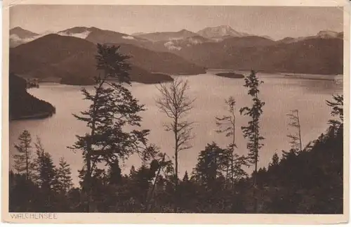 Blick vom Herzogstand auf den Walchensee gl1925 24.438