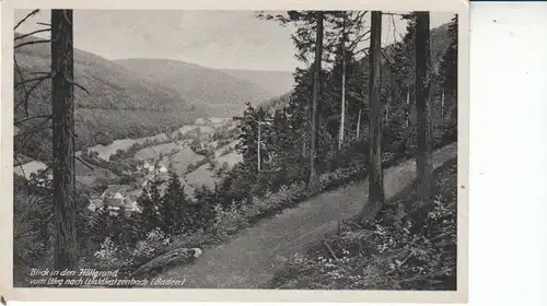 Odenwald Höllgrund bei Waldkatzenbach gl1952 27.403