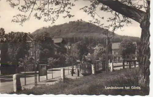 Landeskrone bei Görlitz gl1956 84.619
