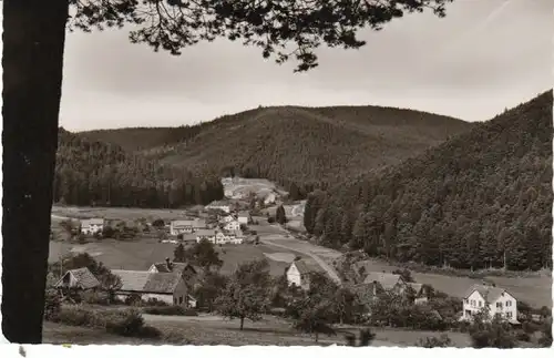 Schwarzw. Enzklösterle Ronbach ngl 25.455