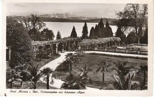 Bodensee Insel Mainau Palmengarten gl1952 26.080