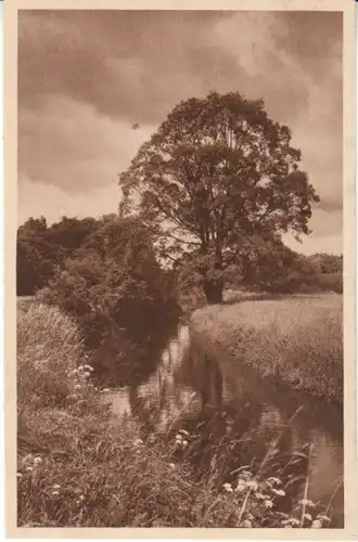 Vor dem Gewitter ngl 27.172