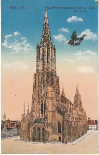 Ulm a.D. Münster mit Spatz gl1915 25.615