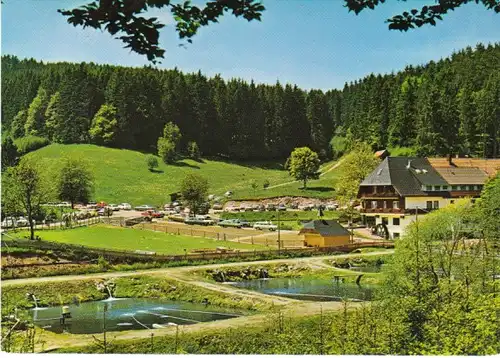 Schwarzwald Grafenhausen Gasth.Tannenmühle ngl 26.602