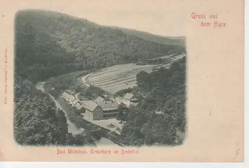 Bad Wildstein Treseburg Bodetal Panorama gl1899 91.025