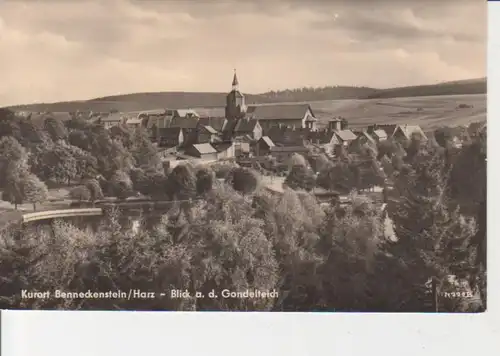 Benneckenstein Blick zum Gondelteich gl1961 91.058