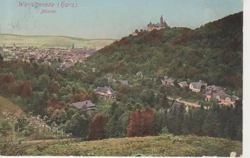 Wernigerode Mühltal Panorama ngl 91.110