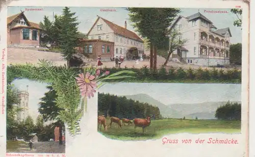 Schmücke Gasthaus Speisesaal Pensionshaus ngl 89.569