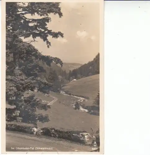 Schwarzwald im Oberrieder-Tal gl1944 26.012