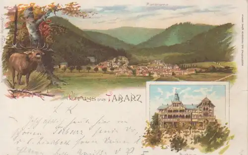 Tabarz Litho Kurhaus Panorama bahnpgl1898 89.423