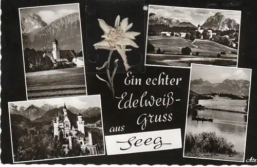Echter Edelweiß-Gruss aus Seeg Allgäu ngl 28.773