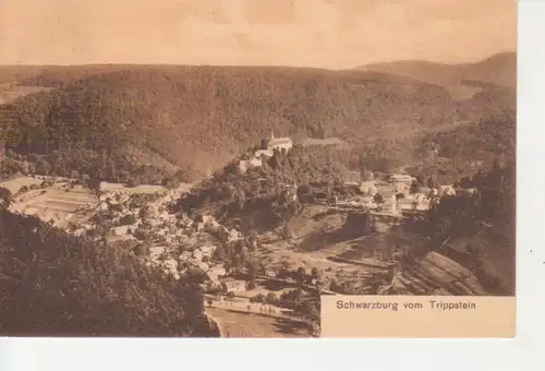 Schwarzburg Blick vom Trippstein gl1908 96.429