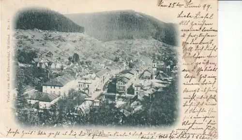 Wildbad Gesamtansicht gl1899 25.694