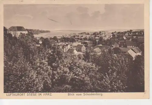 Stiege/Harz Blick vom Schenkenberg gl1918 91.019