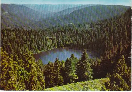 Der Wildsee im Nordschwarzwald gl1977 26.573