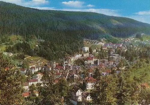 Bad Wildbad Teilpanorama ngl 133.636