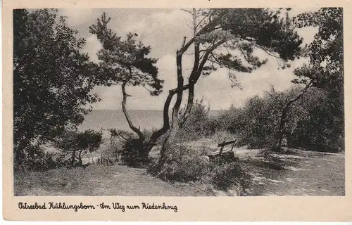 Ostseebad Kühlungsborn Weg zum Riedenberg ngl 28.781