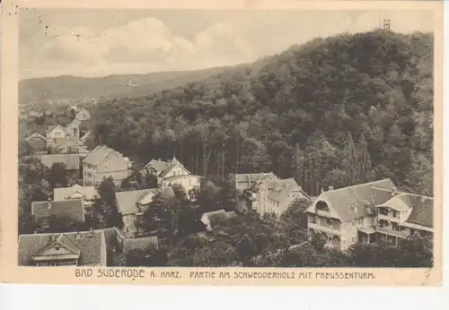 Bad Suderode Partie am Schwedderholz feldpgl1916 91.884