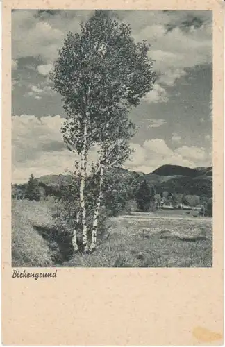 Birkengrund gl1943 28.010