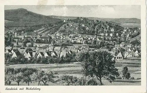 Hersbruck Panorama mit Michelsberg ngl 121.673