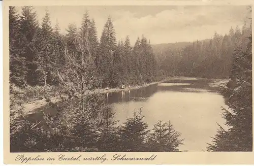 Poppelsee im Enztal bei Besenfeld gl1920 28.633