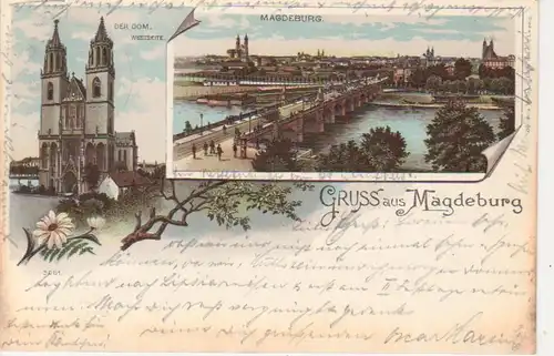 Magdeburg Litho Dom-Westseite Panorama gl1901 90.507