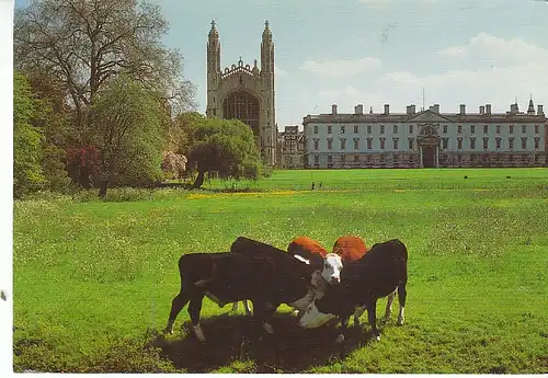 Cambridge King's College from the Backs gl2002 C0401