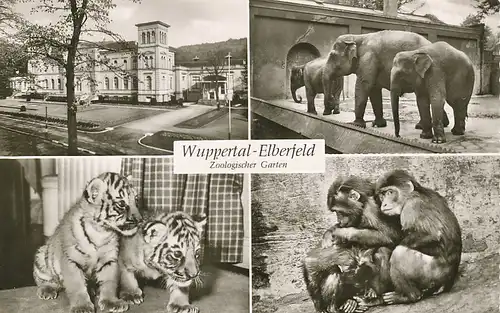 Wuppertal-Elberfeld Zoologischer Garten ngl 132.502