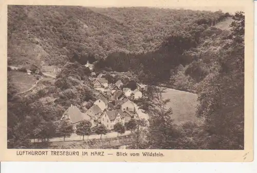 Treseburg Blick vom Wildstein gl1928 91.373