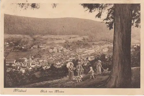 Spaziergang oberhalb von Wildbad Schwarzw gl1921 28.661