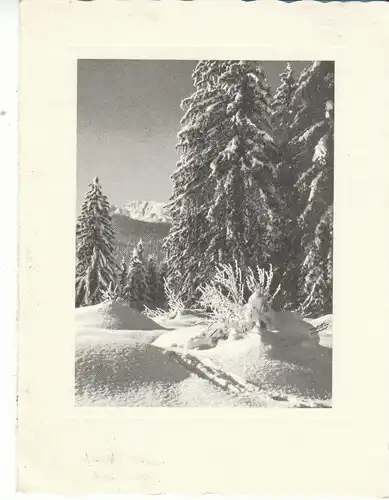 Spuren im Winterwald gl1960 28.745