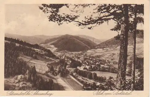 Sitzendorf bei Schwarzburg Panorama gl1928 88.631