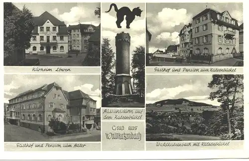 Waldkatzenbach Kurheim Gasthäuser Totale gl1956 5.006