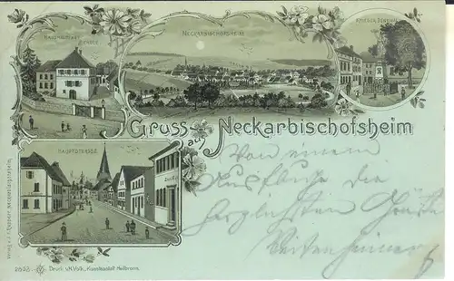 Neckarbischofsheim Litho Schule Hauptstr. gl1902 4.409