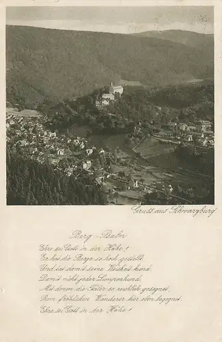 Schwarzburg Blick vom Trippstein glca.1940 118.055