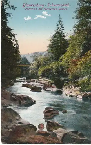 Blankenburg Schwarzatal Steinerne Brücke gl1912 28.997