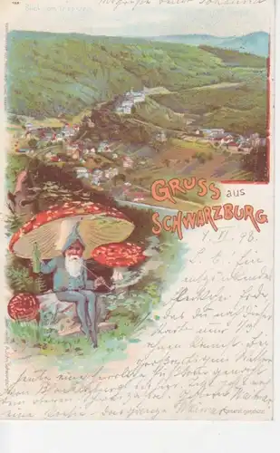 Schwarzburg Litho Panorama gl1898 88.818