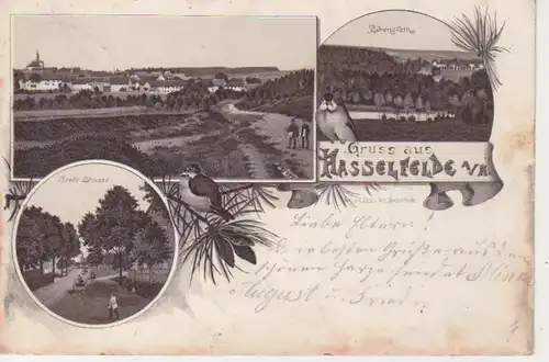 Hasselfelde Litho Straße Rabenstein bahnpgl1896 91.030