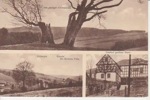 Renthendorf Gasthof Goldner Stern glca.1920 90.080