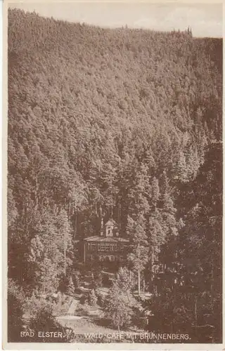 Bad Elster Wald-Café mit Brunnenberg gl1929 B4428