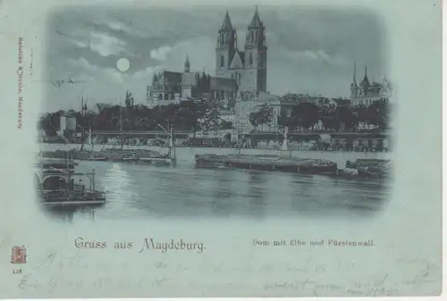 Magdeburg Dom mit Elbe und Fürstenwall gl1898 90.566