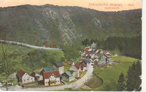 Treseburg im Harz Gesamtansicht gl1908 91.371