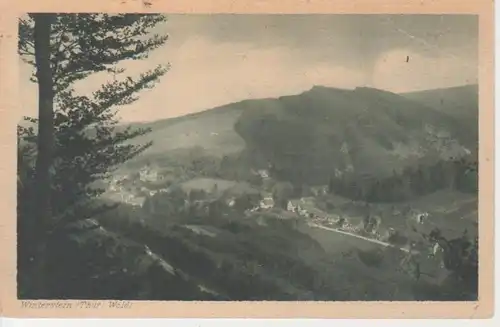 Winterstein Panorama glca.1930 89.352