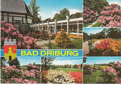 Bad Driburg/Westf. Mehrbildkarte gl12005 C0669