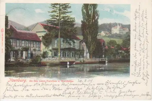 Ilsenburg zu den roten Forellen Waldhöhe gl1908 91.174