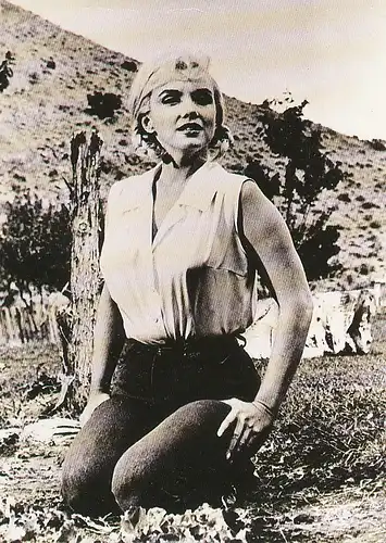 Porträt Marilyn Monroe in The Misfits ngl 115.562