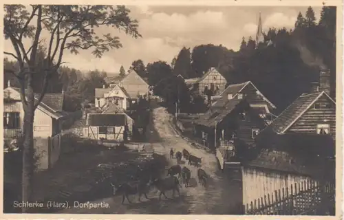 Schierke im Harz Dorfpartie gl1928 91.258