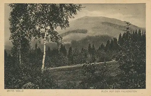 Bayrischer Wald Blick auf den Falkenstein ngl 114.554