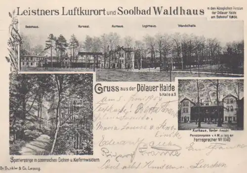 Halle a.S. Gruß aus der Dölauer Haide gl1904 91.593